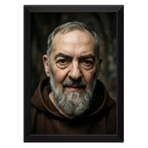 Quadro Padre Pio Rosto de Frente Santo Católico Devoção