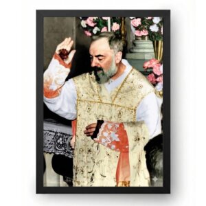 Quadro Padre Pio Com Chagas Milagrosas