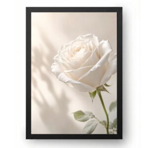 Quadro Rosa Branca Elegante