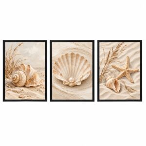 Trio Quadros Conchas Boho Neutro